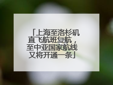 上海至洛杉矶直飞航班复航，至中亚国家航线又将开通一条