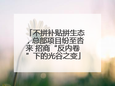 不拼补贴拼生态，总部项目纷至沓来 招商“反内卷”下的光谷之变