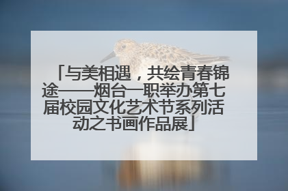 与美相遇，共绘青春锦途——烟台一职举办第七届校园文化艺术节系列活动之书画作品展