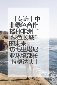 专访丨中非绿色合作播种非洲“绿色长城”的未来——访毛里塔尼亚环境部长拉格达夫