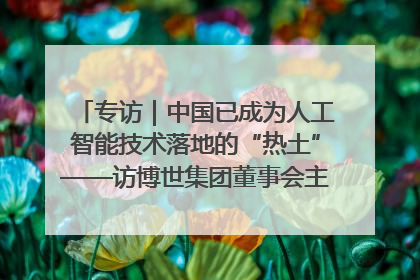 专访｜中国已成为人工智能技术落地的“热土”——访博世集团董事会主席斯特凡·哈通