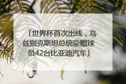 世界杯首次出线，乌兹别克斯坦总统豪赠球员42台比亚迪汽车