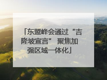 东盟峰会通过“吉隆坡宣言” 聚焦加强区域一体化