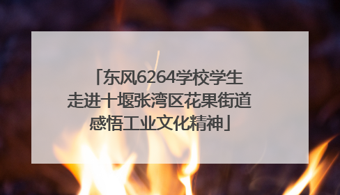 东风6264学校学生走进十堰张湾区花果街道感悟工业文化精神