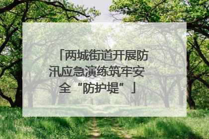 两城街道开展防汛应急演练筑牢安全“防护堤”
