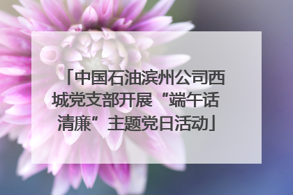 中国石油滨州公司西城党支部开展“端午话清廉”主题党日活动