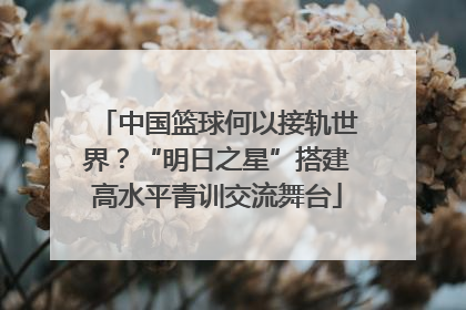 中国篮球何以接轨世界？“明日之星”搭建高水平青训交流舞台