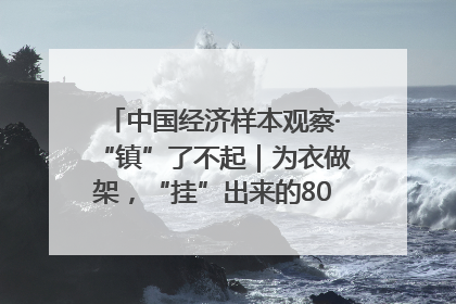 中国经济样本观察·“镇”了不起｜为衣做架，“挂”出来的80亿元“衣架产业”
