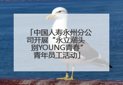 中国人寿永州分公司开展“永立潮头 别YOUNG青春”青年员工活动