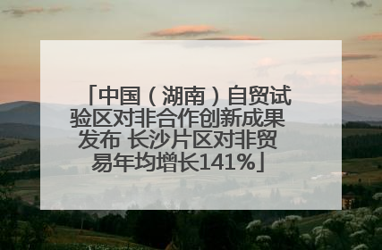 中国（湖南）自贸试验区对非合作创新成果发布 长沙片区对非贸易年均增长141%
