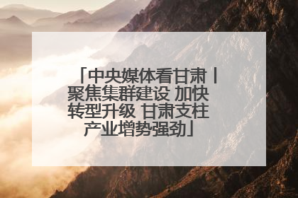 中央媒体看甘肃丨聚焦集群建设 加快转型升级 甘肃支柱产业增势强劲