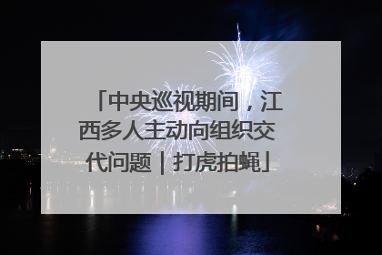 中央巡视期间，江西多人主动向组织交代问题｜打虎拍蝇