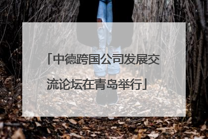 中德跨国公司发展交流论坛在青岛举行