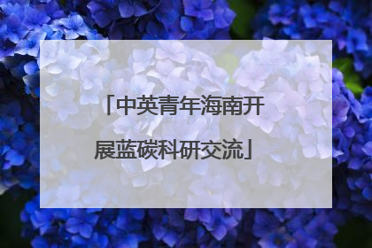 中英青年海南开展蓝碳科研交流