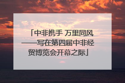 中非携手 万里同风——写在第四届中非经贸博览会开幕之际