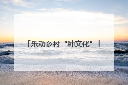 乐动乡村“种文化”