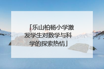 乐山柏杨小学激发学生对数学与科学的探索热情