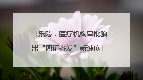 乐陵：医疗机构审批跑出“四证齐发”新速度