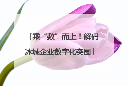 乘“数”而上！解码冰城企业数字化突围