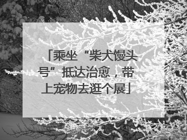 乘坐“柴犬馒头号”抵达治愈，带上宠物去逛个展