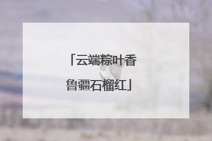 云端粽叶香 鲁疆石榴红
