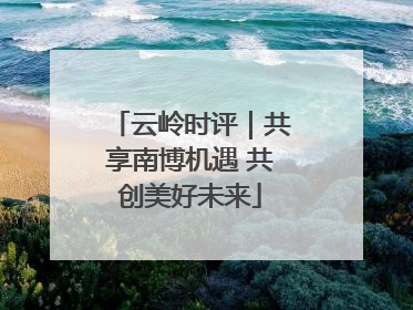 云岭时评｜共享南博机遇 共创美好未来