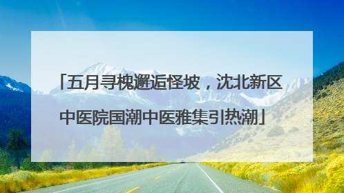 五月寻槐邂逅怪坡，沈北新区中医院国潮中医雅集引热潮