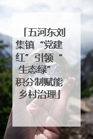 五河东刘集镇“党建红”引领“生态绿” 积分制赋能乡村治理