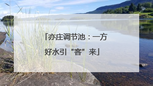 亦庄调节池：一方好水引“客”来