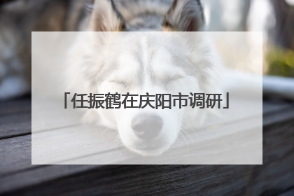 任振鹤在庆阳市调研