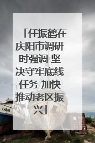 任振鹤在庆阳市调研时强调 坚决守牢底线任务 加快推动老区振兴