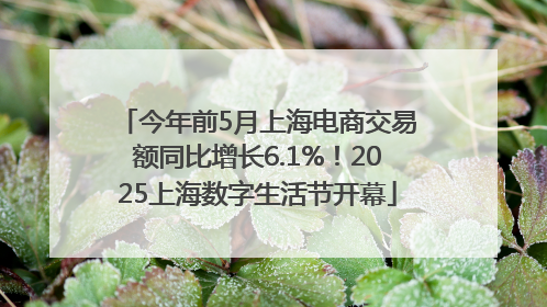 今年前5月上海电商交易额同比增长6.1%！2025上海数字生活节开幕