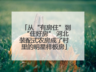 从“有房住”到“住好房” 河北装配式农房成了村里的明星样板房
