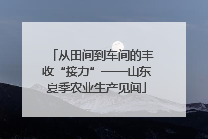 从田间到车间的丰收“接力”——山东夏季农业生产见闻