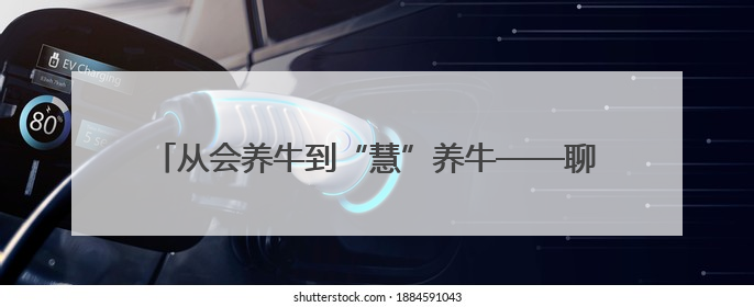 从会养牛到“慧”养牛——聊城市畜牧业现代化转型的启示