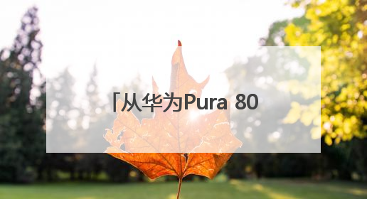 从华为Pura 80看HarmonyOS 5.1，余承东宣布7月迎来首批机型升级