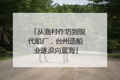 从渔村作坊到现代船厂，台州造船业逐浪向蓝海