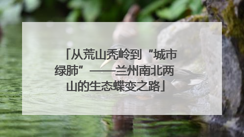 从荒山秃岭到“城市绿肺”——兰州南北两山的生态蝶变之路