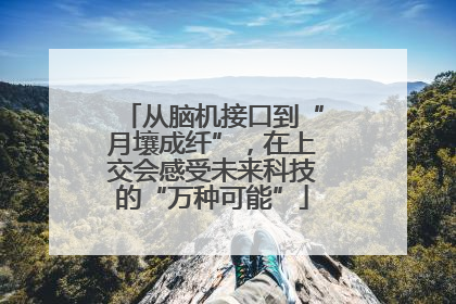从脑机接口到“月壤成纤”，在上交会感受未来科技的“万种可能”