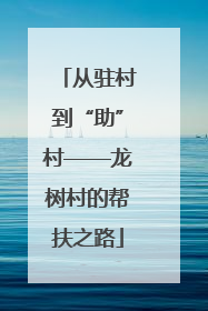 从驻村到“助”村——龙树村的帮扶之路