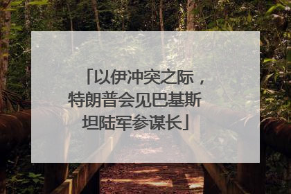以伊冲突之际，特朗普会见巴基斯坦陆军参谋长