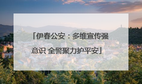 伊春公安：多维宣传强意识 全警聚力护平安