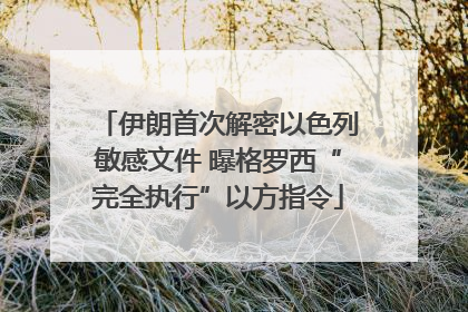 伊朗首次解密以色列敏感文件 曝格罗西“完全执行”以方指令