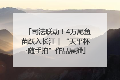 司法联动！4万尾鱼苗跃入长江｜“天平杯·随手拍”作品展播