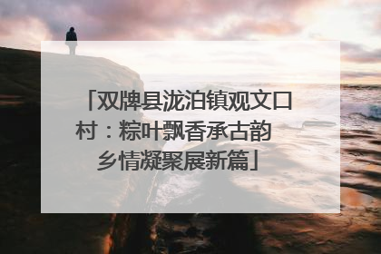 双牌县泷泊镇观文口村：粽叶飘香承古韵 乡情凝聚展新篇