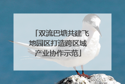双流巴塘共建飞地园区打造跨区域产业协作示范