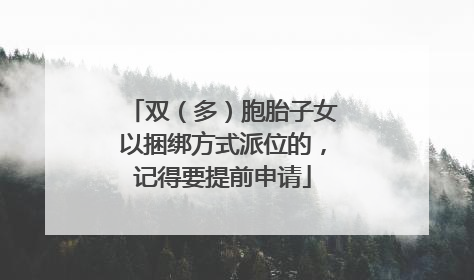 双（多）胞胎子女以捆绑方式派位的，记得要提前申请
