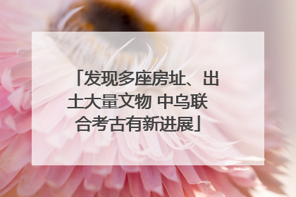 发现多座房址、出土大量文物 中乌联合考古有新进展