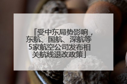 受中东局势影响，东航、国航、深航等5家航空公司发布相关航线退改政策
