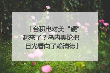 台积电对美“硬”起来了？岛内舆论把目光看向了赖清德